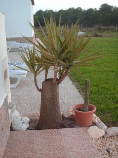 Affittacamere Quinta Da Bunheira Rogil Esterno foto
